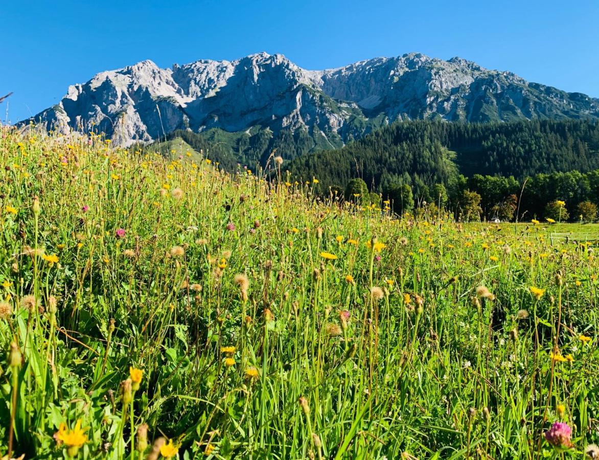 Bergkristallhaus Ramsau am Dachstein Exterior photo