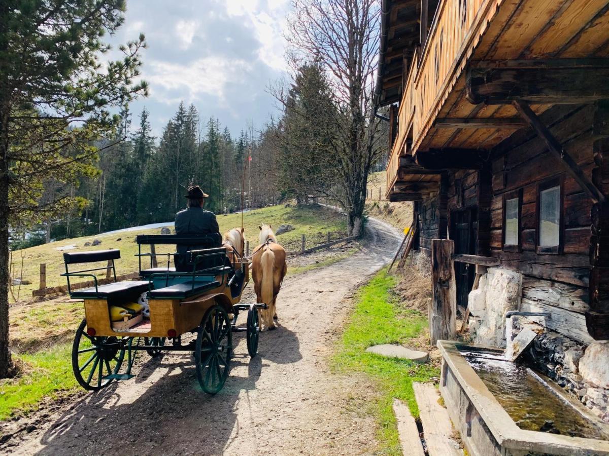 Bergkristallhaus Ramsau am Dachstein Exterior photo